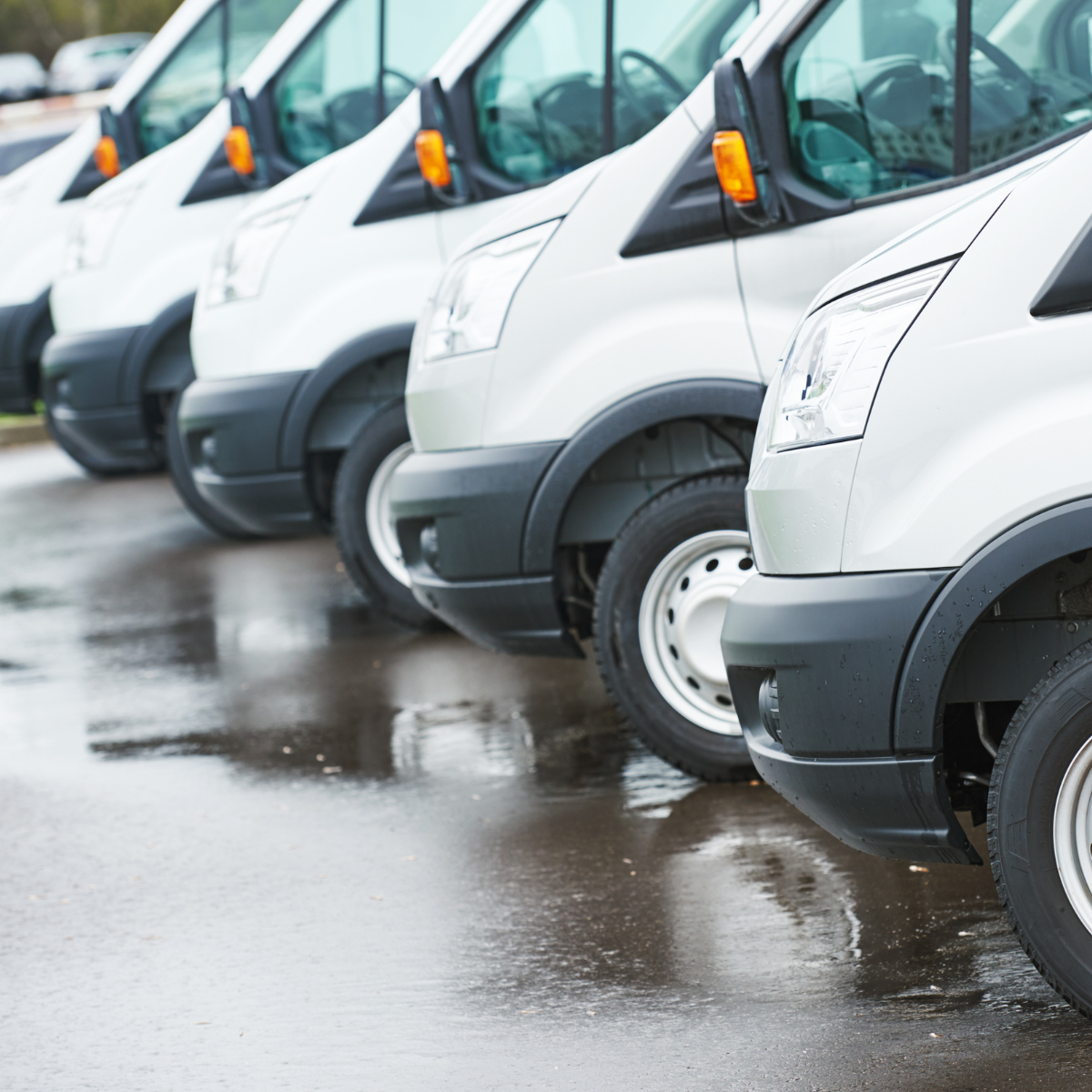 Untitled design (20)